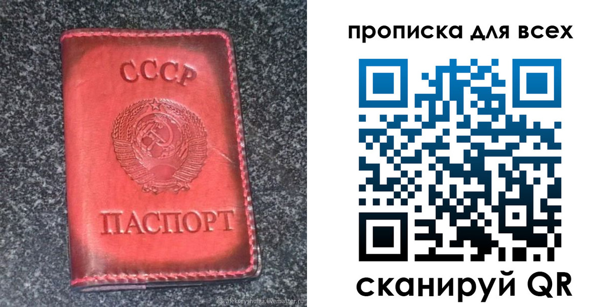 временная регистрация госуслуги в Светлогорске