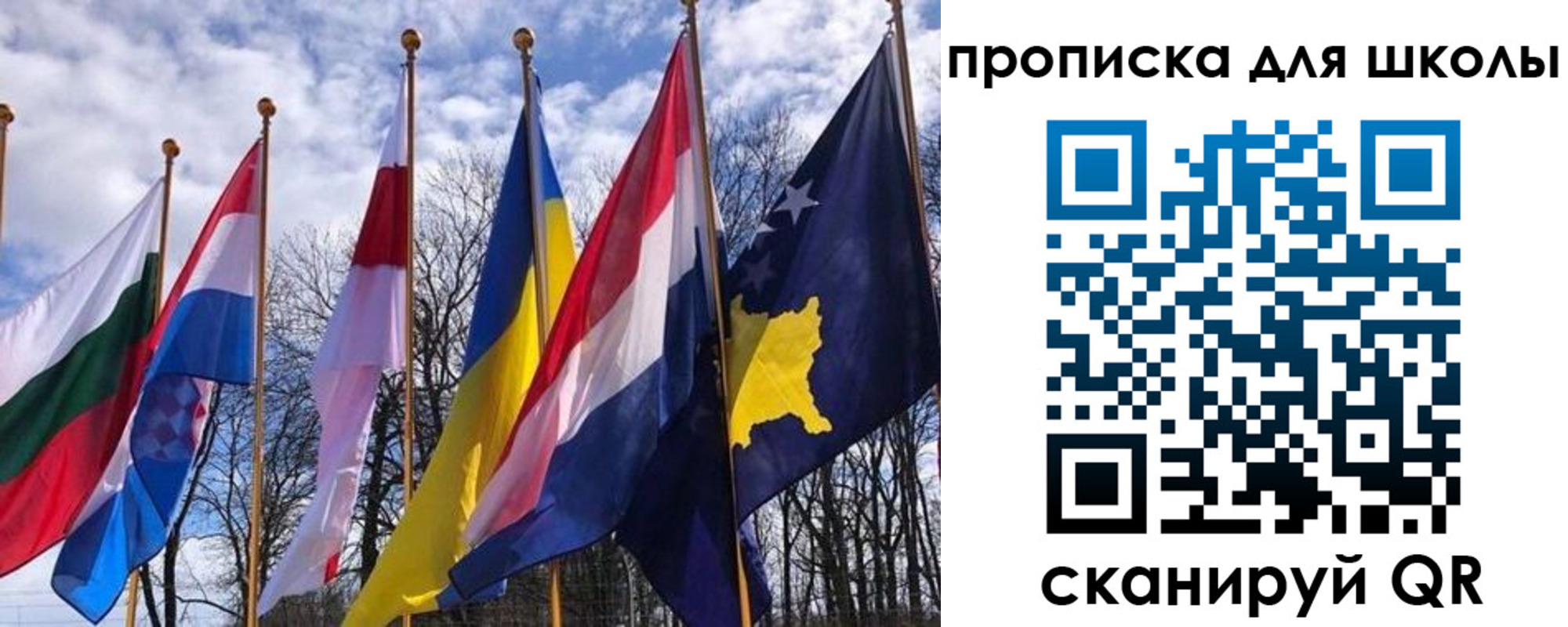 прописка штамп в Светлогорске