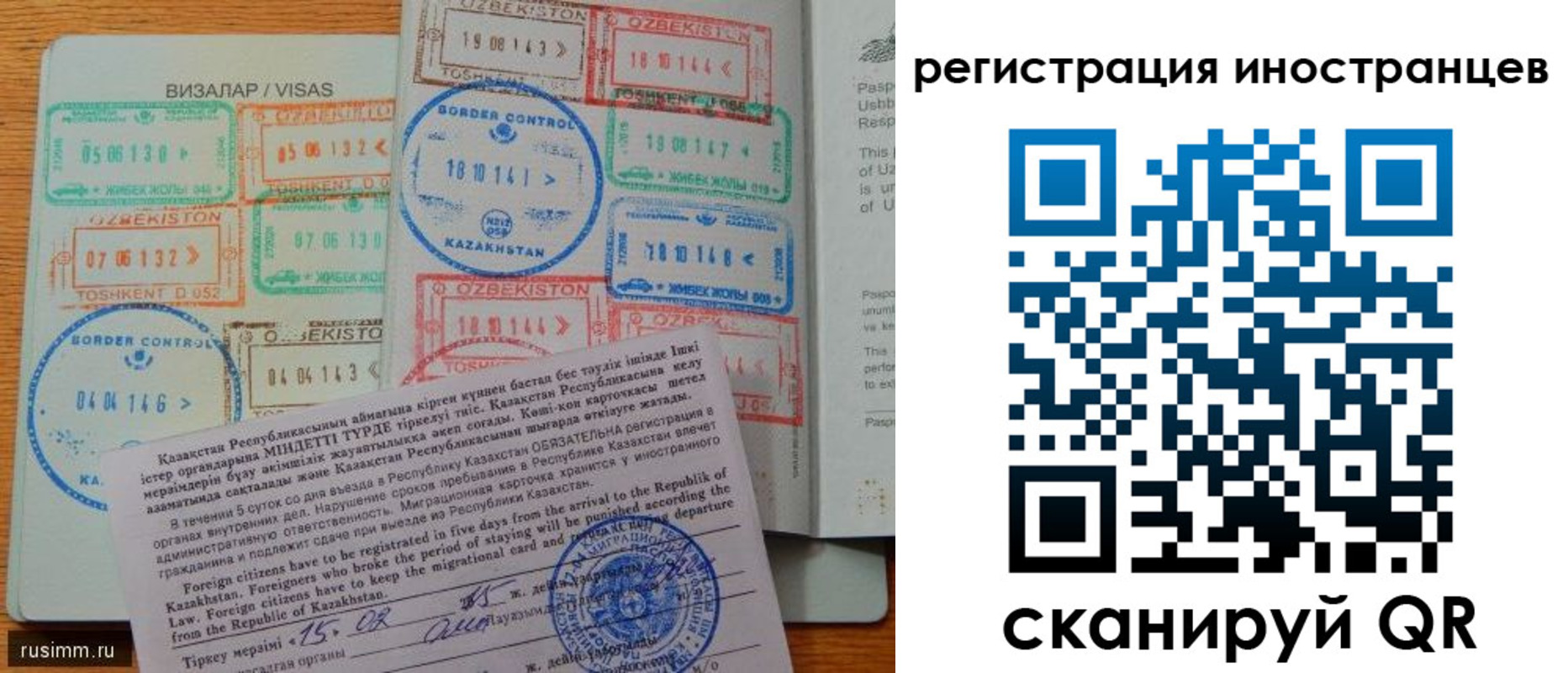 прописка гарантия в Светлогорске